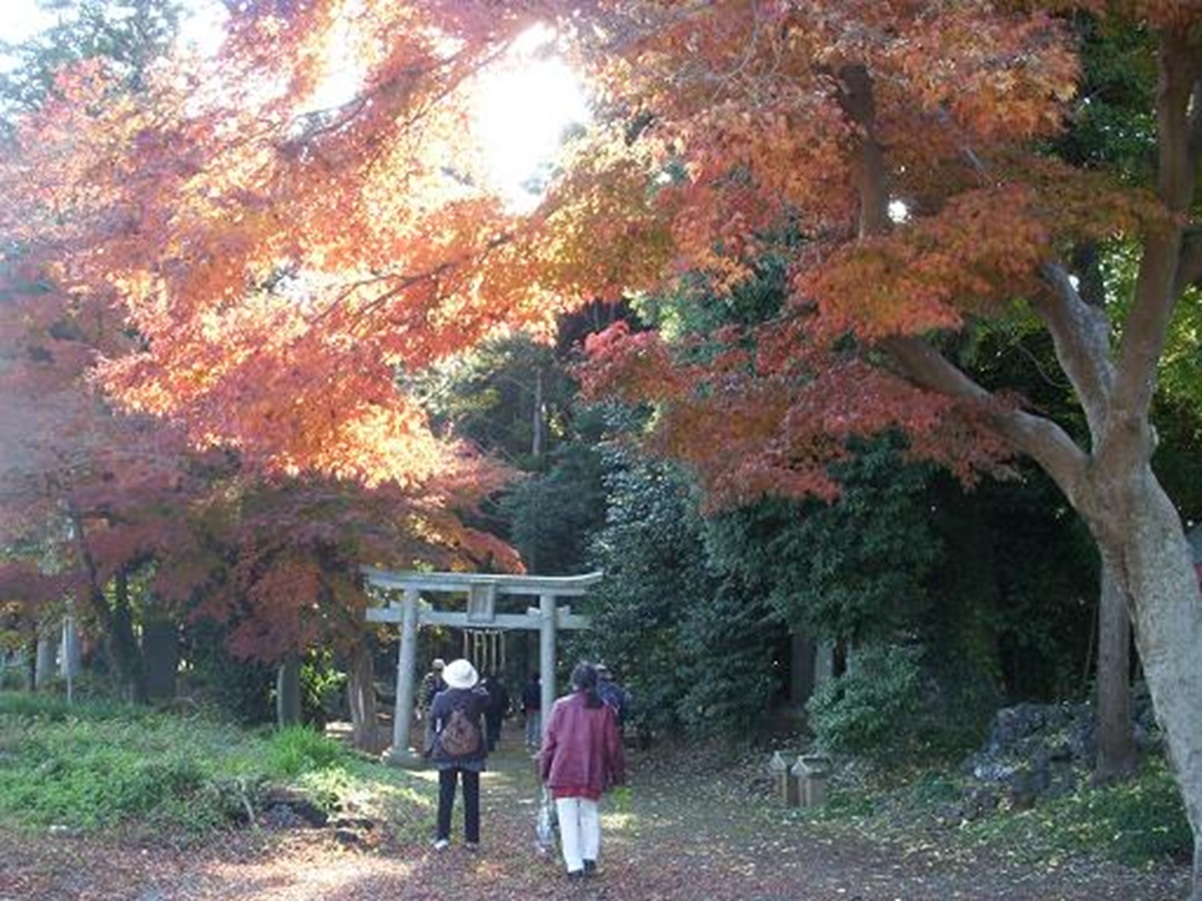 ���Q���唪���_��"